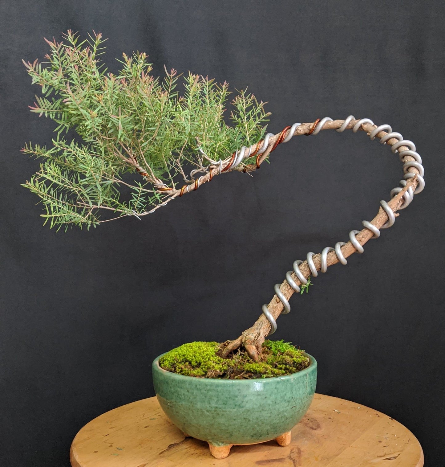 Soft Garden Plant Bending Wire