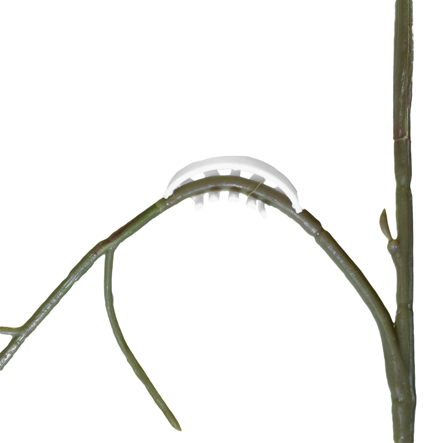 GROW BITS™ Plant Bends 50 Pack