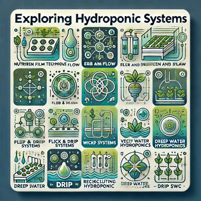 Exploring the Different Hydroponic Systems: Which One is Best ?