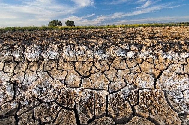 CLAY CONDITIONER Soil Conditioner