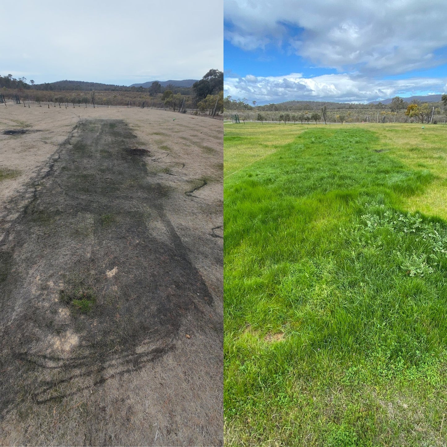 LIQUID BIOCARBON - Soil Enhancer